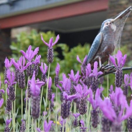 Maymorn Orchard Suites อัปเปอร์ฮัทท์ ภายนอก รูปภาพ